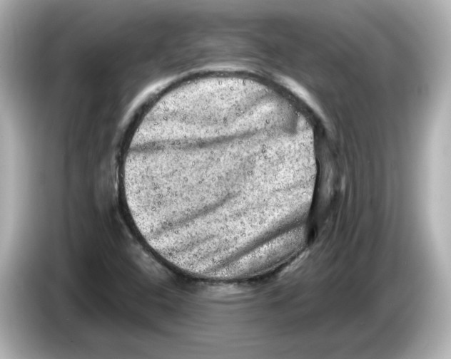 X0000085771408200704091344