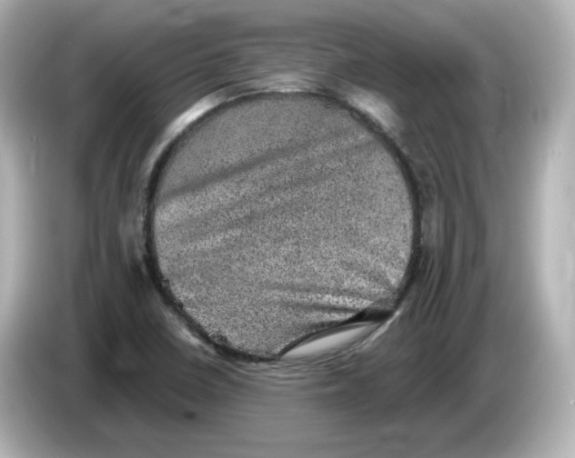 X0000085771410200704091344