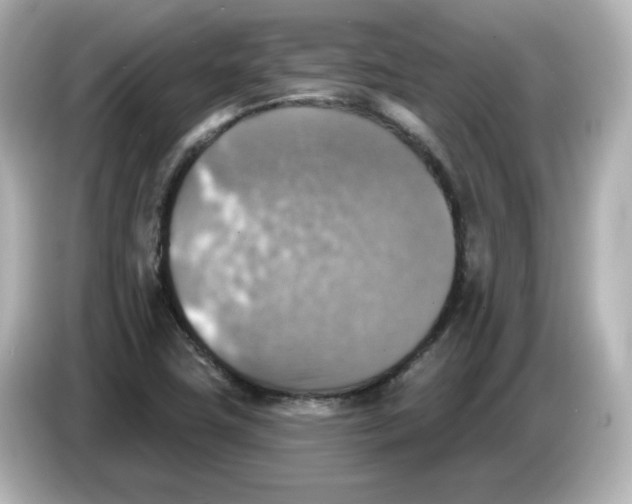 X0000085771411200704091344