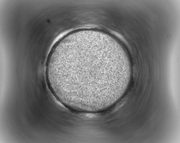 X0000085771412200704091344