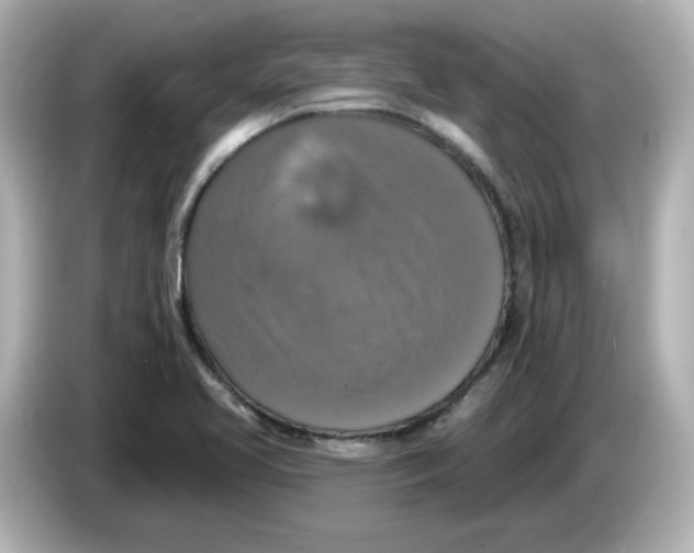 X0000085771413200704091344