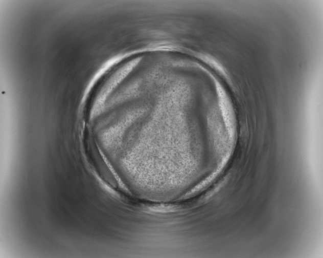 X0000085771414200704091344