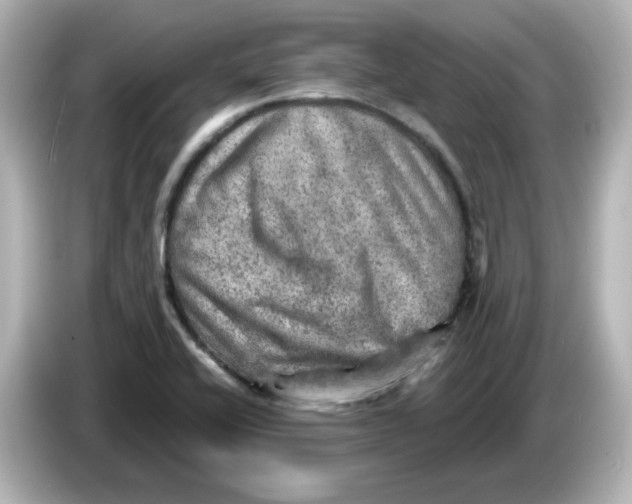 X0000085771416200704091344