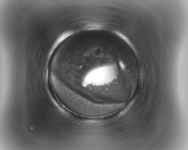 X0000085771418200704091344