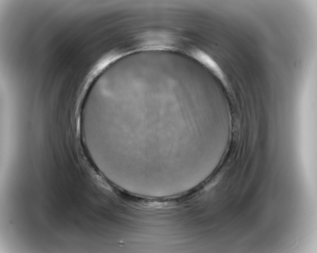 X0000085771419200704091344