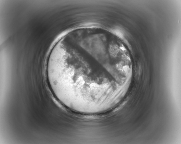 X0000085771421200704091344