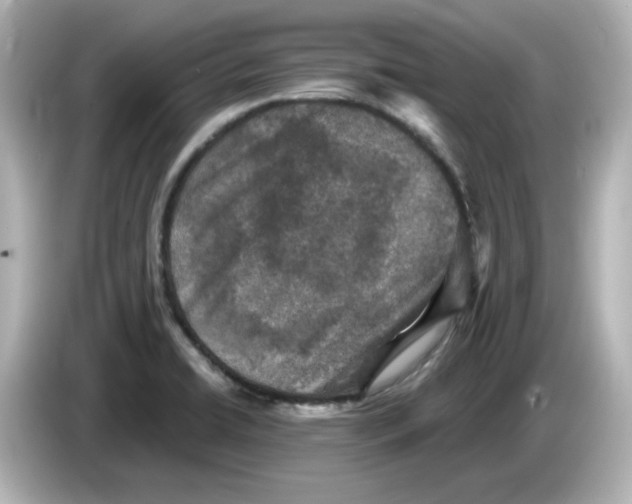 X0000085771422200704091344