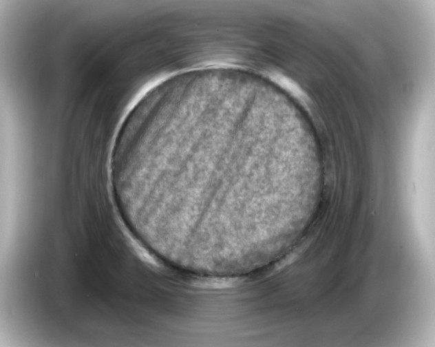 X0000085771423200704091344