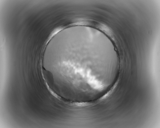 X0000085771425200704091344