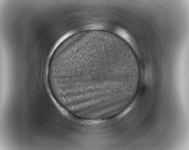 X0000085771426200704091344