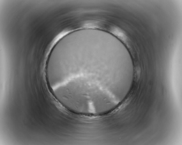 X0000085771427200704091344