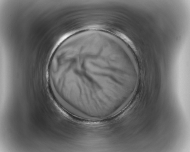 X0000085771428200704091344