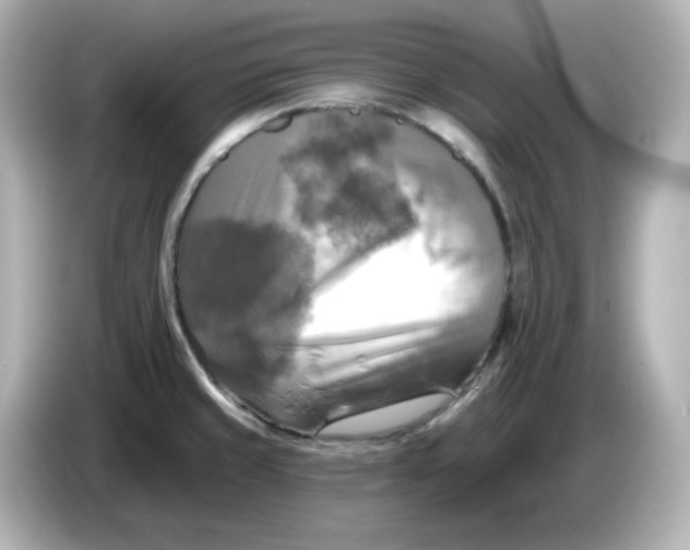 X0000085771429200704091344