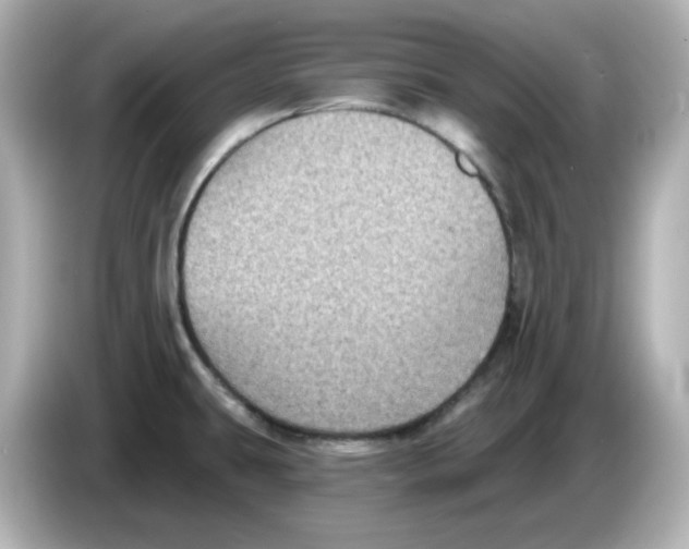 X0000085771431200704091344