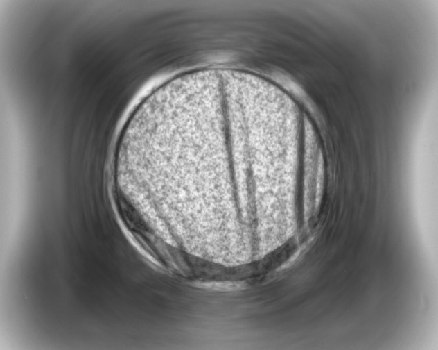 X0000085771432200704091344