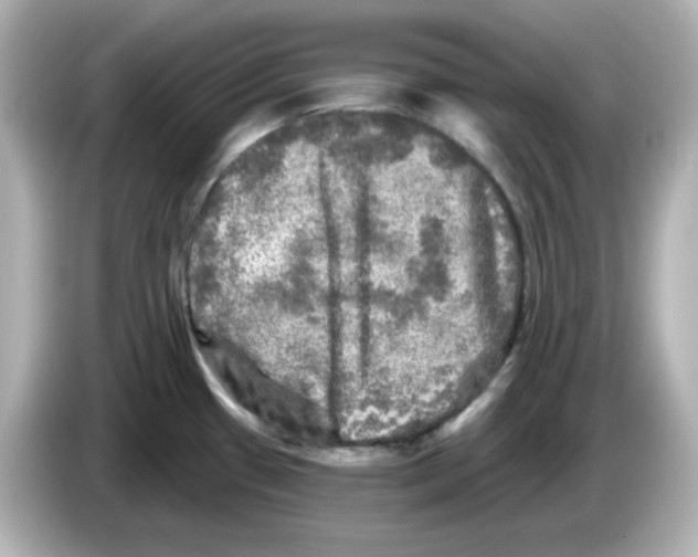 X0000085771433200704091344