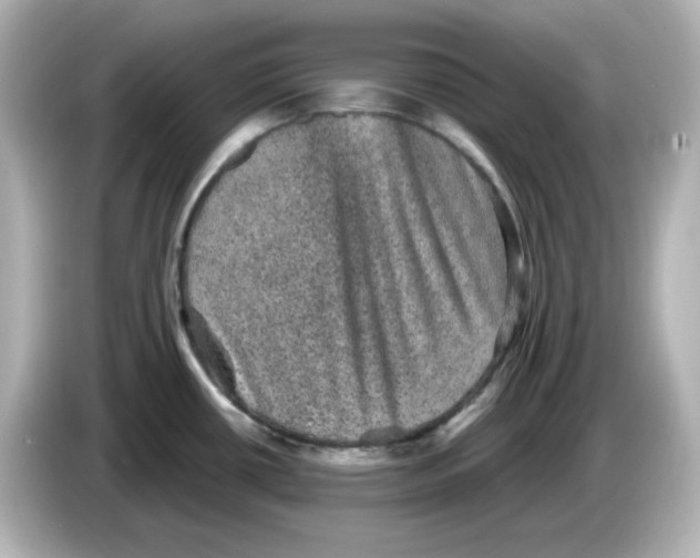 X0000085771434200704091345