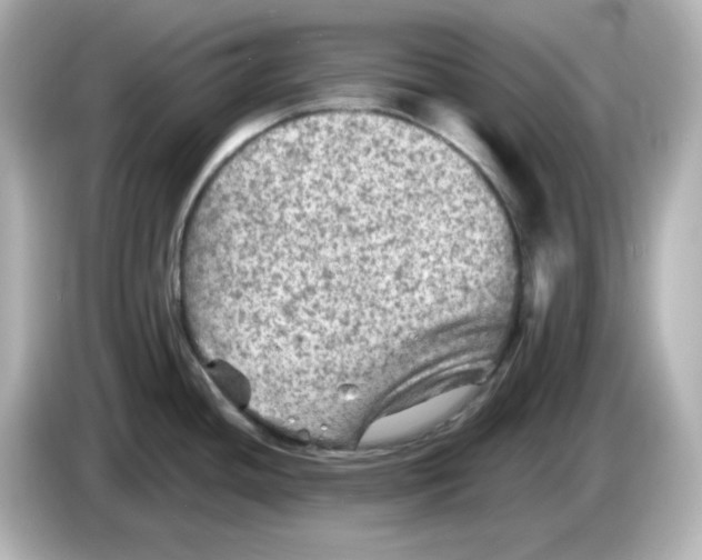 X0000085771436200704091345