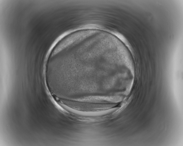 X0000085771438200704091345