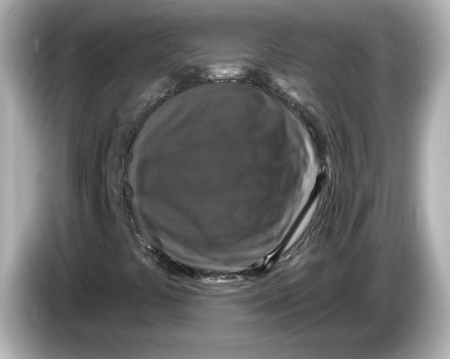 X0000085771441200704091344