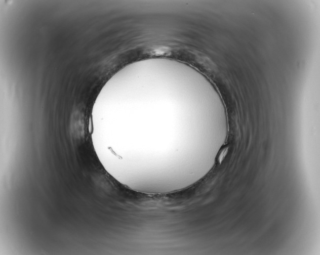 X0000085771442200704091344