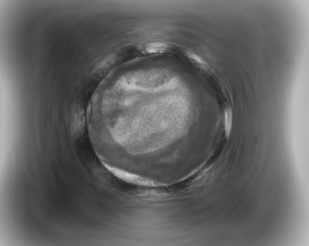 X0000085771443200704091344