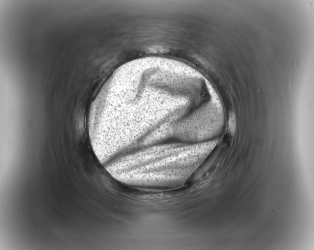 X0000085771444200704091344