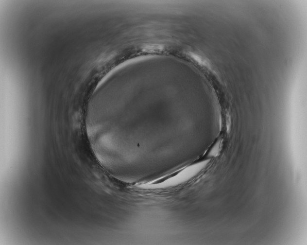 X0000085771445200704091344