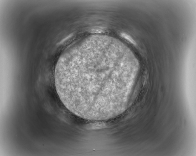 X0000085771446200704091344