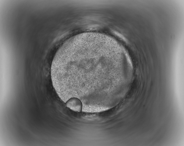 X0000085771447200704091344