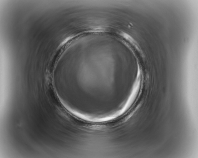 X0000085771449200704091344