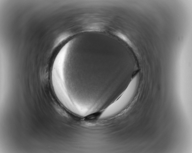 X0000085771450200704091344