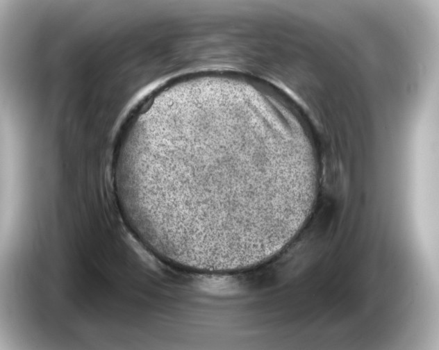 X0000085771452200704091344