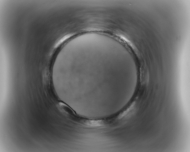 X0000085771453200704091344