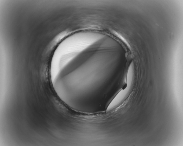 X0000085771455200704091344