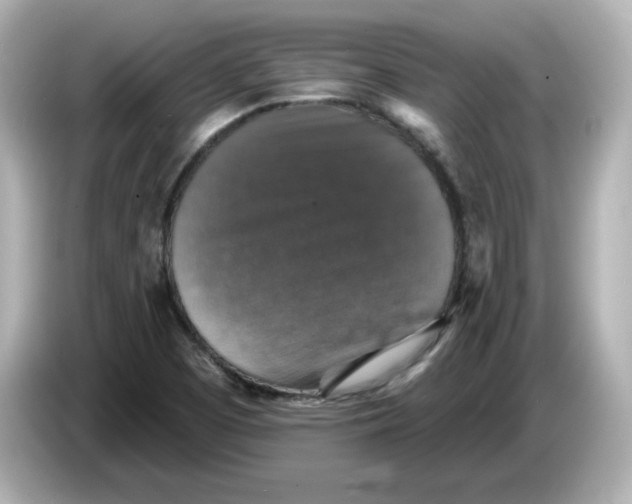 X0000085771457200704091344