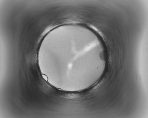 X0000085771459200704091344