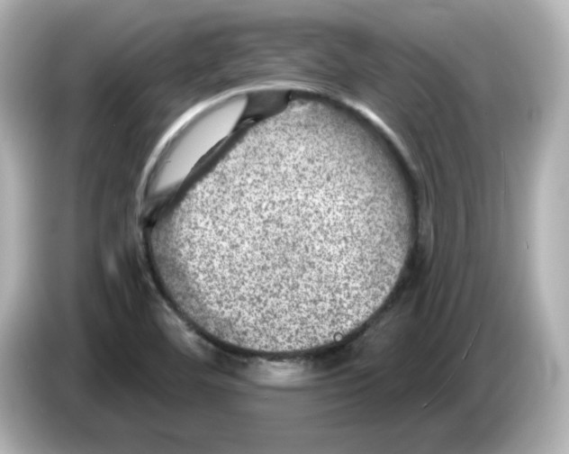 X0000085771460200704091344