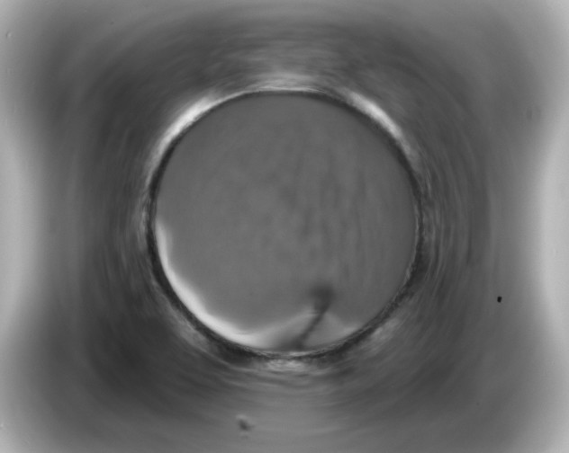 X0000085771463200704091344