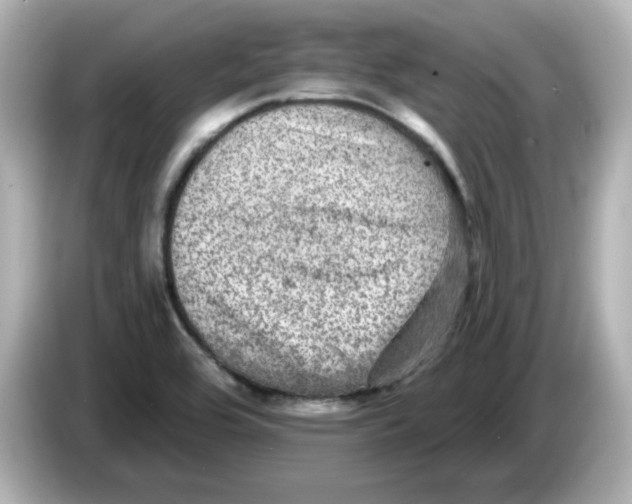 X0000085771464200704091344