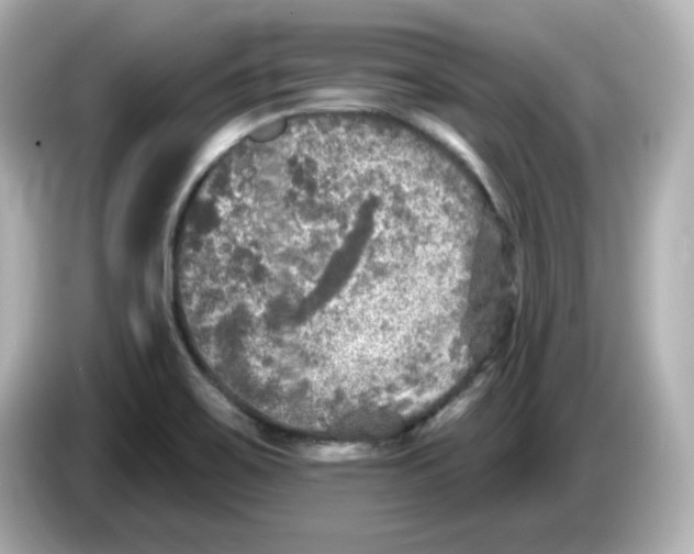 X0000085771467200704091344