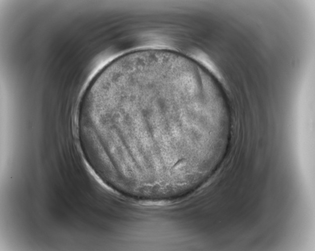 X0000085771468200704091344