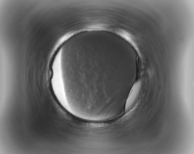 X0000085771469200704091344