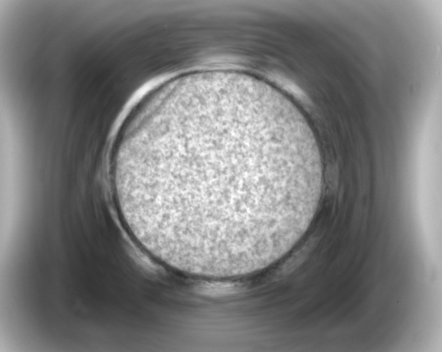 X0000085771470200704091344