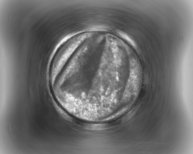 X0000085771471200704091344