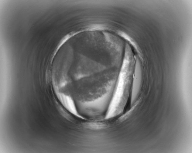 X0000085771473200704091344