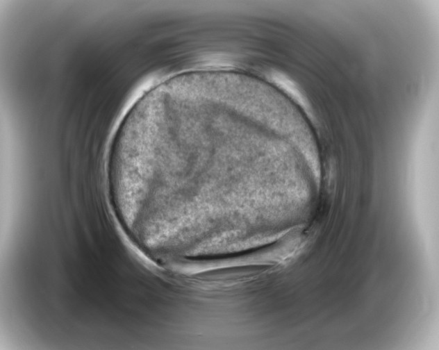 X0000085771475200704091344