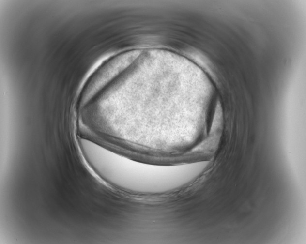 X0000085771476200704091344