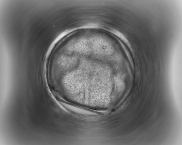 X0000085771480200704091344