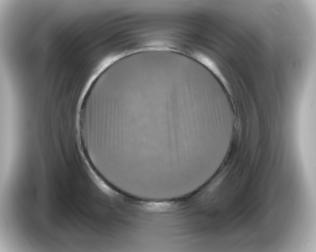 X0000085771482200704091344